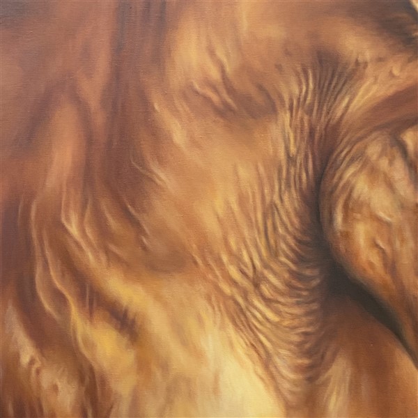 Red Stallion Detail 2 (600 x 600)